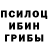 Псилоцибиновые грибы Magic Shrooms bogdan energum