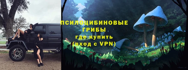 apvp Зеленокумск