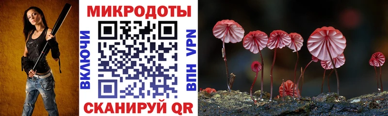shop какой сайт  даркнет сайт  Старая Русса  Галлюциногенные грибы мицелий  KRAKEN вход 