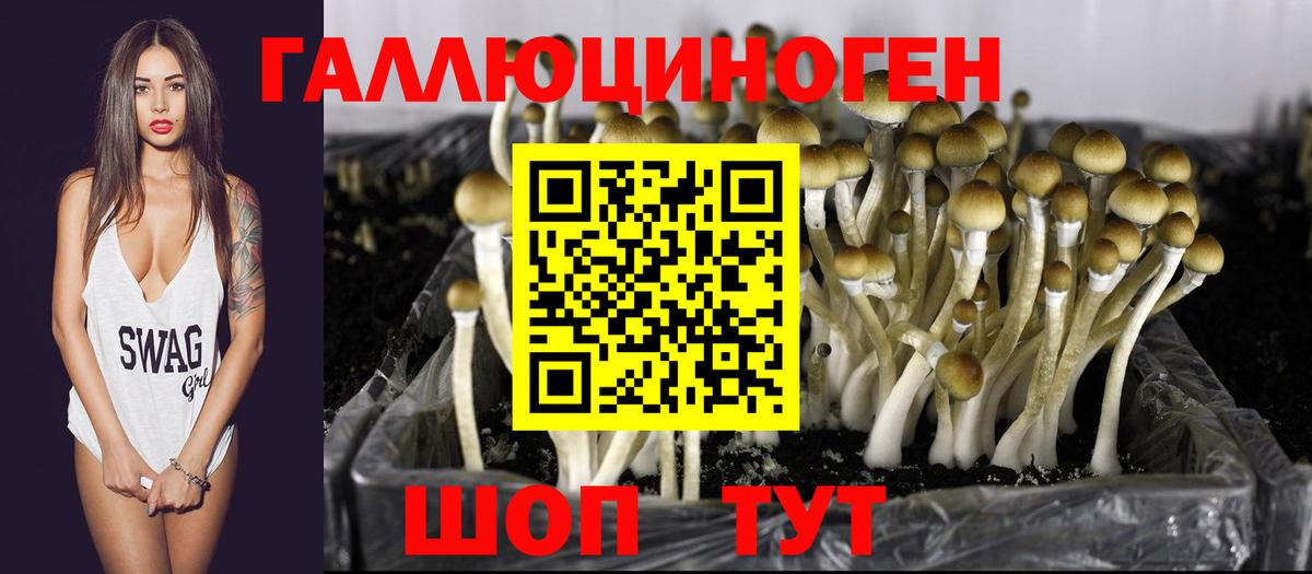 Псилоцибиновые грибы MAGIC MUSHROOMS  Вход с VPN  Старая Русса 